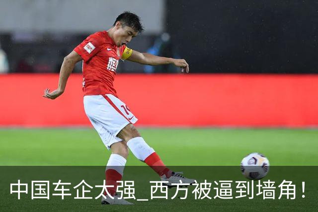 中国车企太强 西方被逼到墙角！美媒：马斯克拿飞行跑车开辟新赛道
