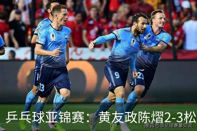 乒乓球亚锦赛：黄友政/陈熠2-3松岛辉空/张本美和 混双摘银