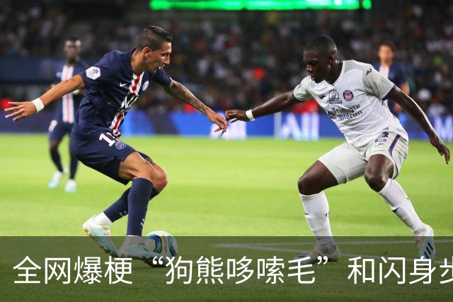 全网爆梗“狗熊哆嗦毛”和闪身步，司长看了都叫好