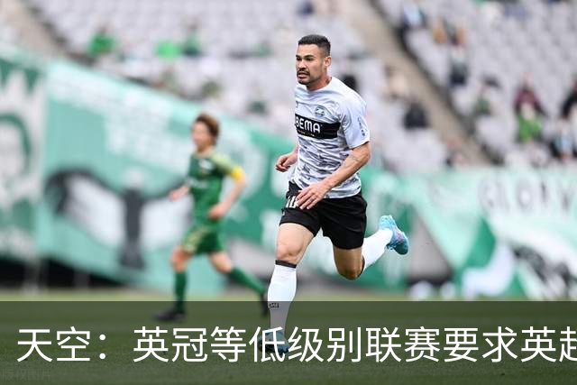 天空：英冠等低级别联赛要求英超未来5年提供超10亿镑资金