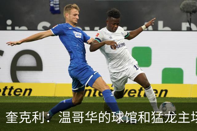 奎克利：温哥华的球馆和猛龙主场有些相似 现场球迷也非常热情