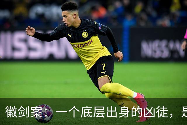 徽剑案：一个底层出身的凶徒，是如何在外网上“接单”？又是如何请得了知名律师辩护的？
