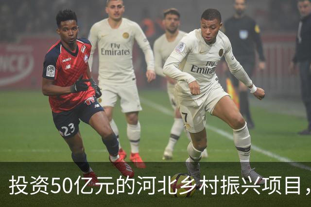 投资50亿元的河北乡村振兴项目，被举报有富豪“帝王式墓地”