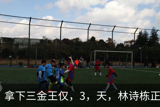 拿下三金王仅，3，天，林诗栋正式宣布退出，原来他和王楚钦是同类人