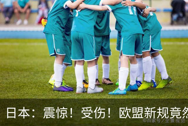 日本：震惊！受伤！欧盟新规竟然也防我