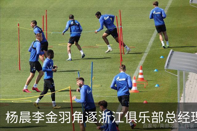杨晨李金羽角逐浙江俱乐部总经理岗！顶着国脚光环又怎样？未必就能管好俱乐部