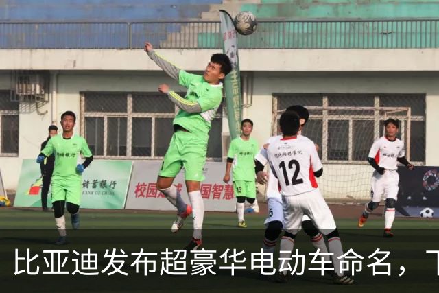 比亚迪发布超豪华电动车命名，下周或将改写行业格局