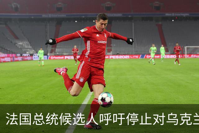 法国总统候选人呼吁停止对乌克兰的所有援助，并退出欧盟