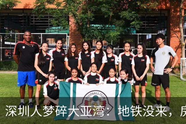 深圳人梦碎大亚湾：地铁没来，房价腰斩
