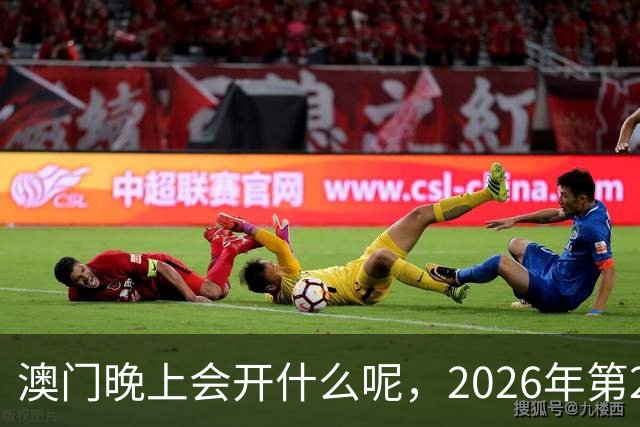 澳门晚上会开什么呢，2026年第285期新六合彩今晚9点35分的生肖，澳门今晚开奖结果免费查
