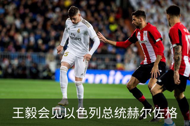 王毅会见以色列总统赫尔佐格