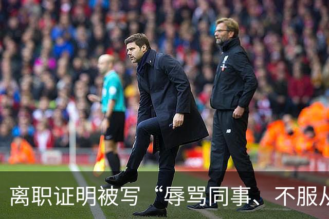 离职证明被写“辱骂同事、不服从安排”，男子多次求职被拒后起诉原公司，法院：构成名誉权侵害