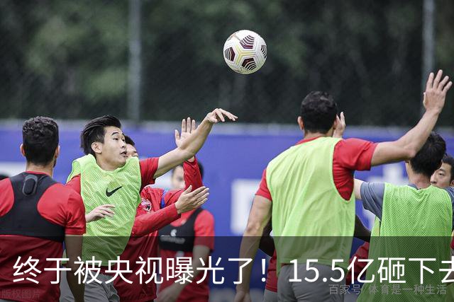 终于被央视曝光了！15.5亿砸下去的9000亩大棚，竟长满杂草！6年不种地，还领3700万补贴，检查来了插彩旗、人一走，立马就收走