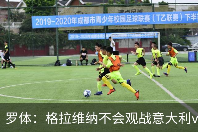 罗体：格拉维纳不会观战意大利vs比利时，认为时机不合适婉拒邀请