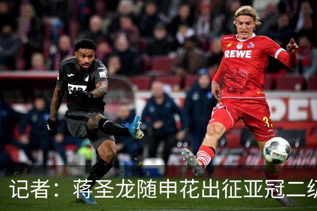 记者：蒋圣龙随申花出征亚冠二级联赛，接下来极有可能迎来复出