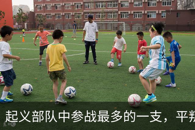 起义部队中参战最多的一支，平叛、剿匪、对印、对越，一仗没落下