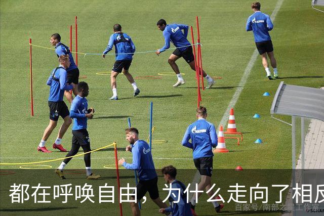 都在呼唤自由，为什么走向了相反的路？