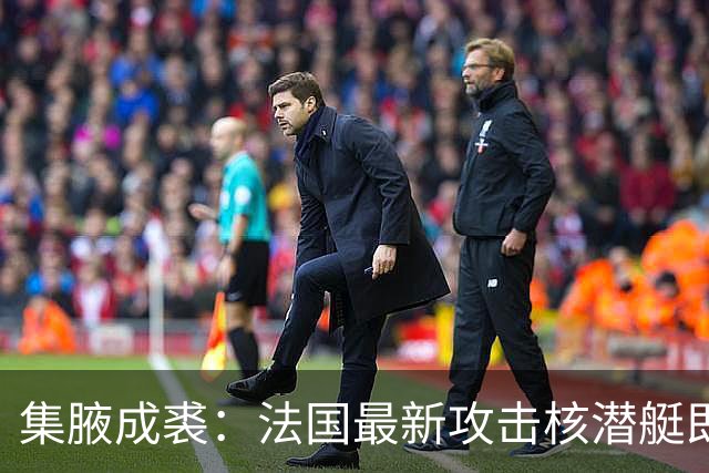 集腋成裘：法国最新攻击核潜艇即将下水 双管榴弹炮试验平台曝光