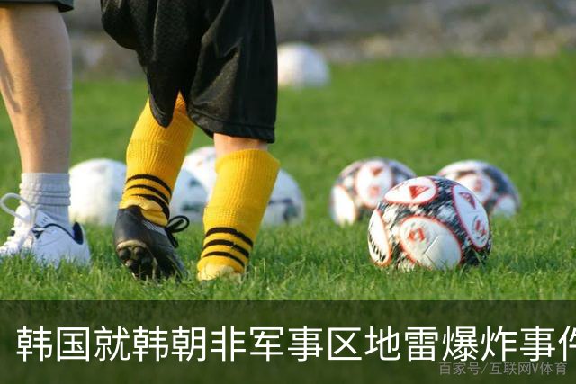 韩国就韩朝非军事区地雷爆炸事件致函联合国安理会