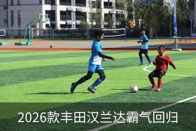 2026款丰田汉兰达霸气回归