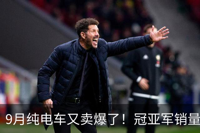 9月纯电车又卖爆了！冠亚军销量超4万，零跑A10未进前三，小米SU7排名第七
