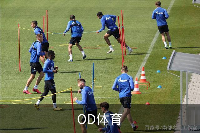 OD体育公司简介展示图